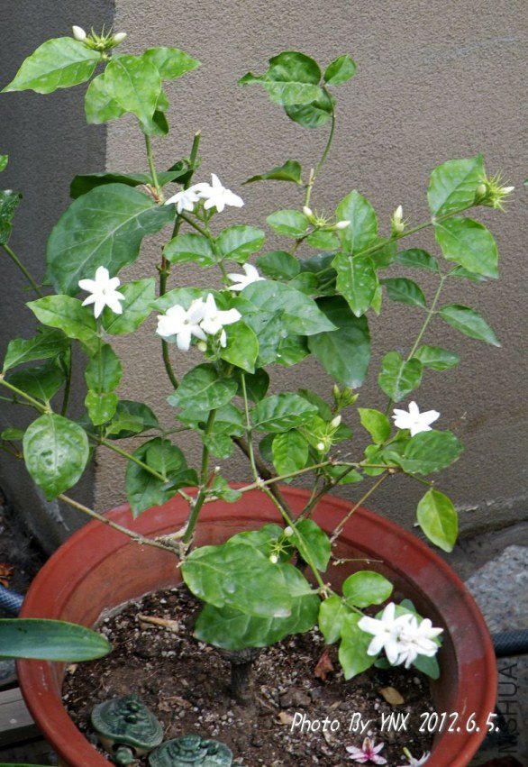 2012.6.5. 026_conew1.jpg