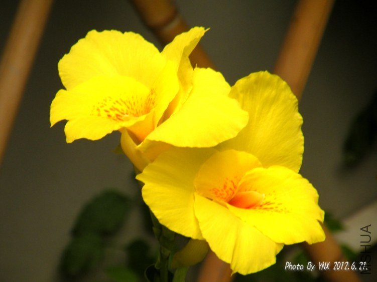 2012.6.21. 006_conew1.jpg