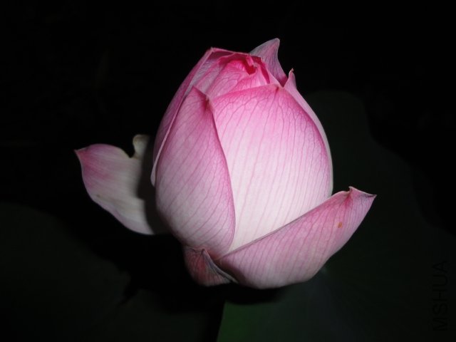 DSC01065.JPG
