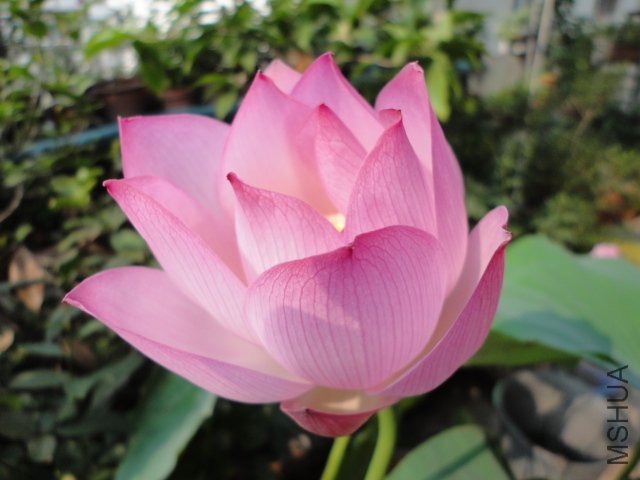 DSC01053.JPG