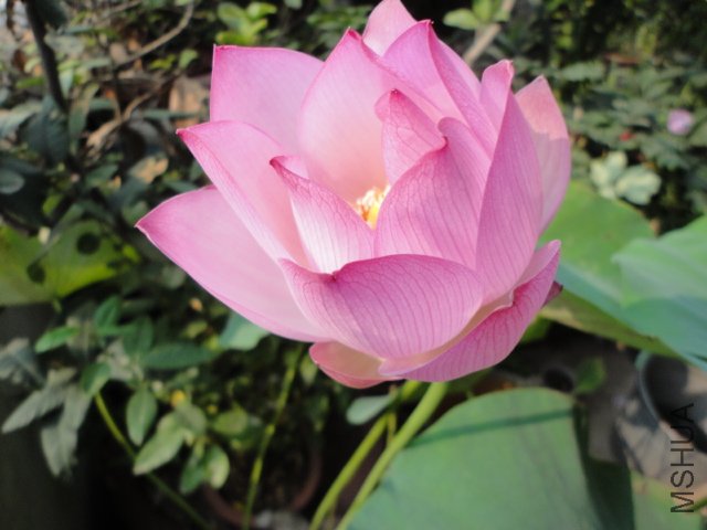 DSC01054.JPG