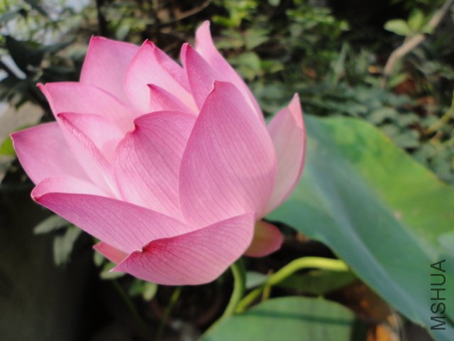 DSC01055.JPG
