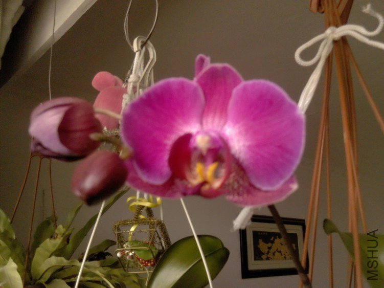 IMG_20120310_070637.jpg