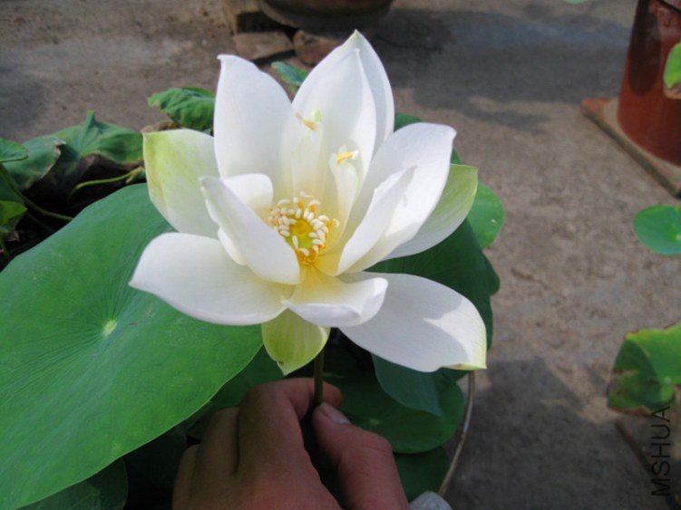 ��Ƭ 004_����.jpg