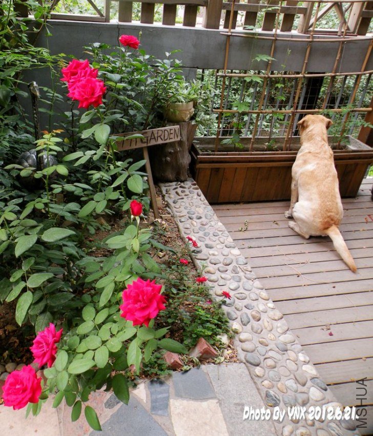 2012.6.21. 021_conew1.jpg