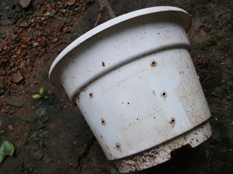 ������ϸ�Щ��