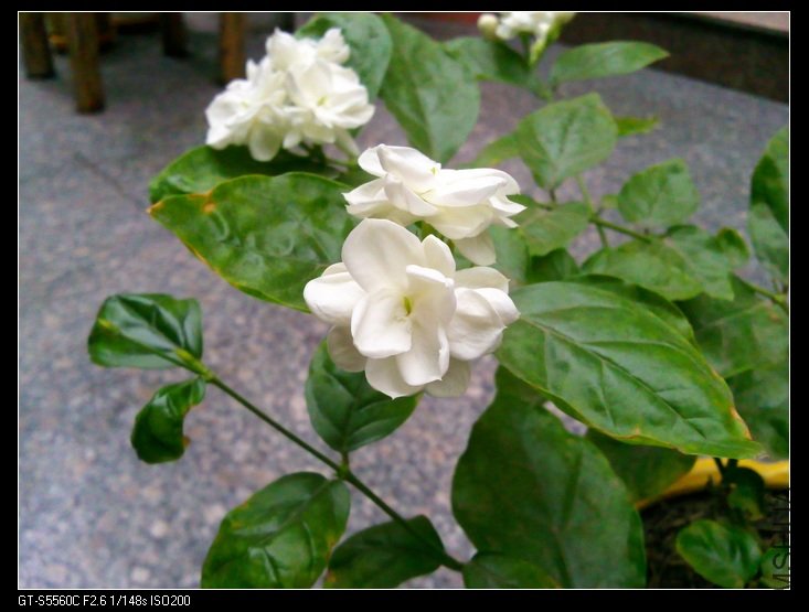 ��Ƭ0021.jpg