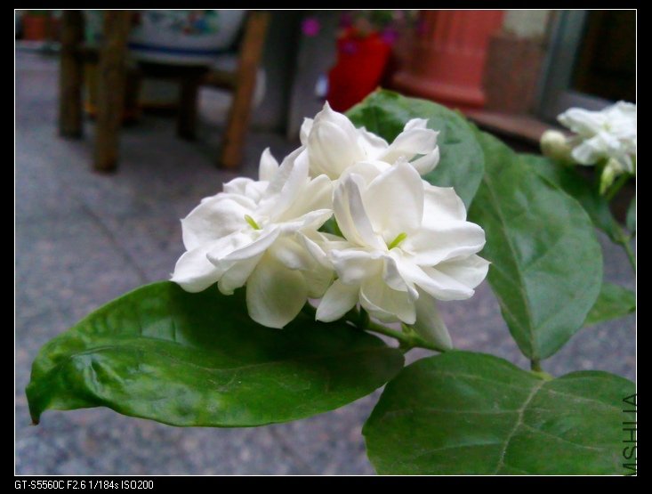 ��Ƭ0020.jpg