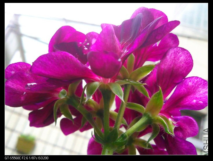 ��Ƭ0034.jpg