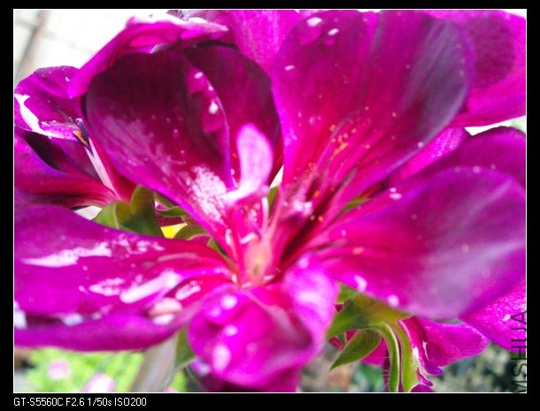 ��Ƭ0035.jpg