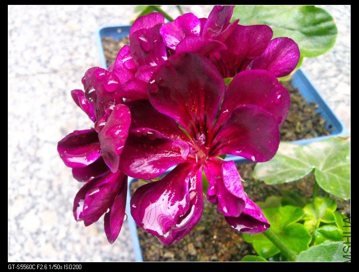 ��Ƭ0017.jpg