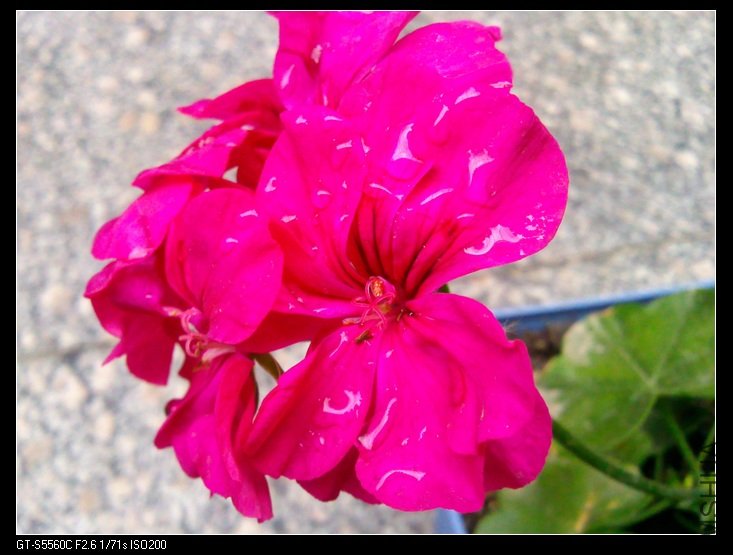 ��Ƭ0018.jpg