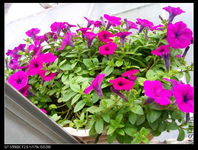 ��Ƭ0037.jpg