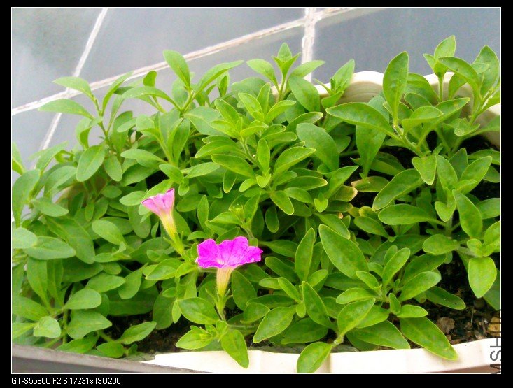 ��Ƭ0038.jpg