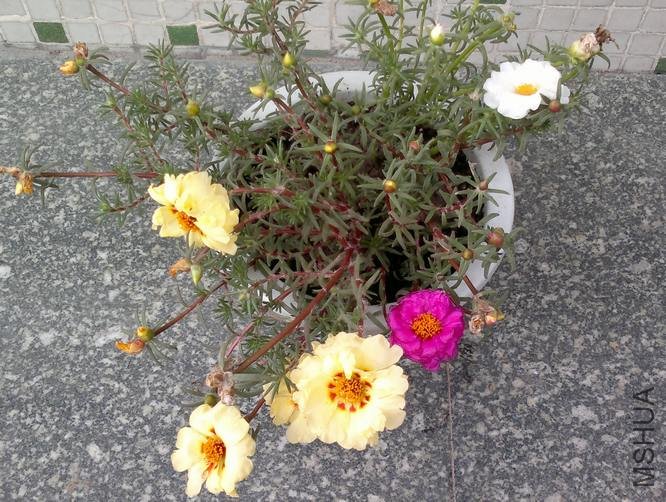 20120609480.jpg