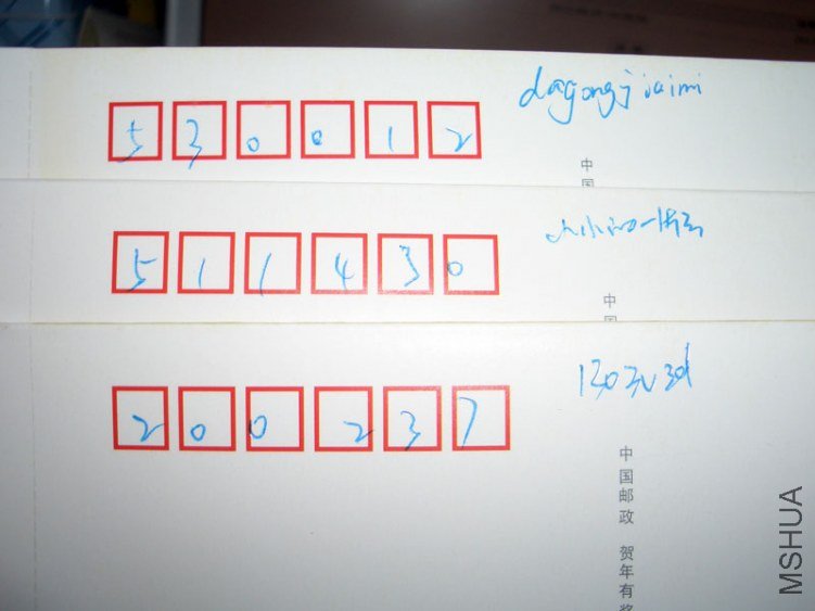 CIMG9308.jpg