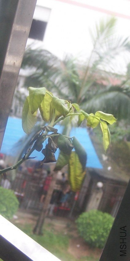 100_2264.jpg