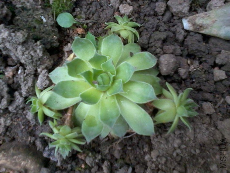 2012-06-24 19.44.21.jpg