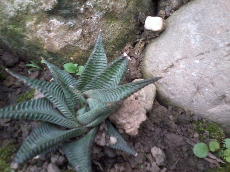2012-06-24 19.44.58.jpg