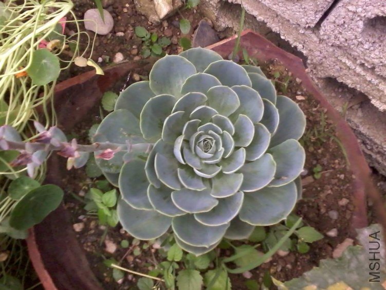 2012-06-24 19.48.19.jpg