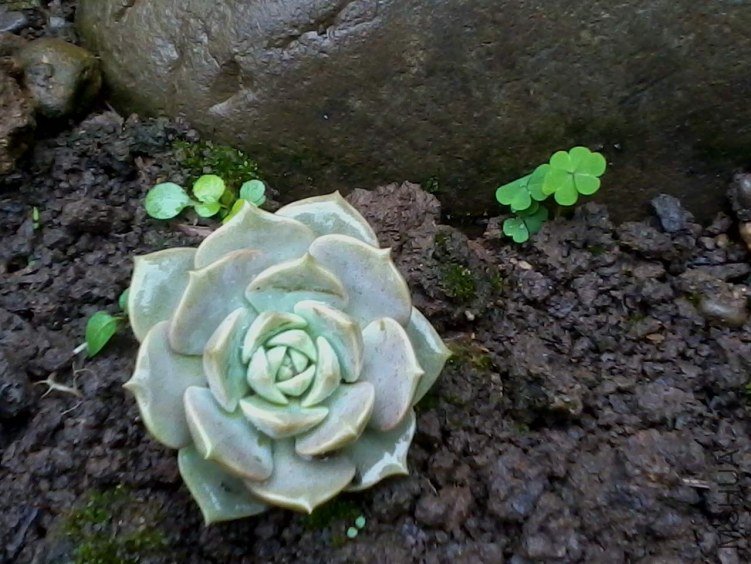 2012-06-25 09.51.49.jpg