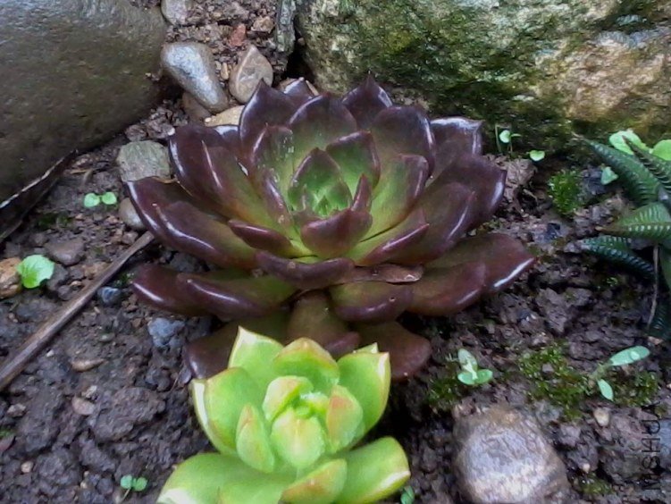2012-06-25 09.52.04.jpg