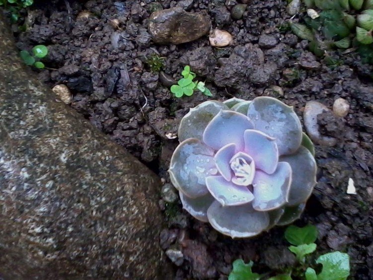 2012-06-25 09.52.29.jpg