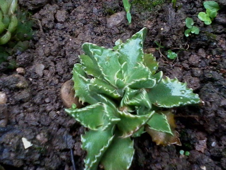 2012-06-25 09.52.40.jpg