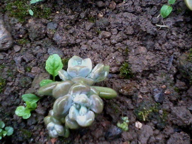 2012-06-25 09.52.51.jpg