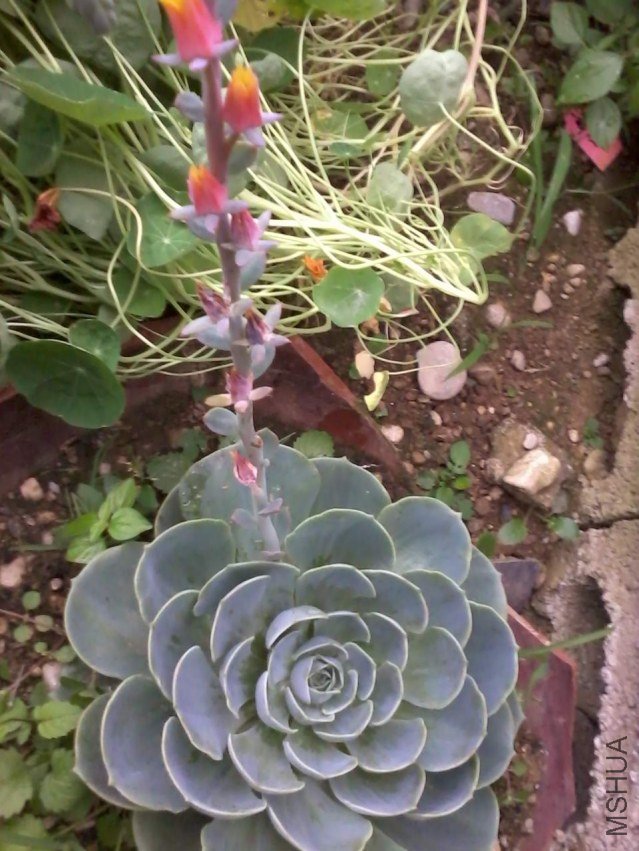 2012-06-24 19.48.44.jpg