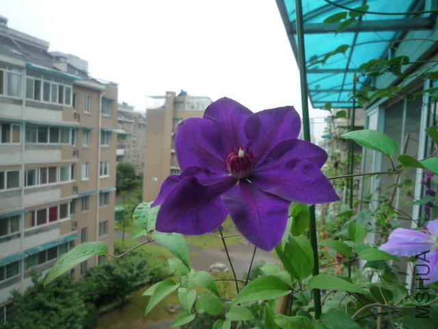 P1050498.JPG
