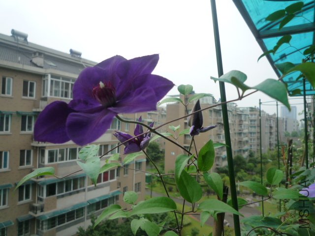 P1050499.JPG