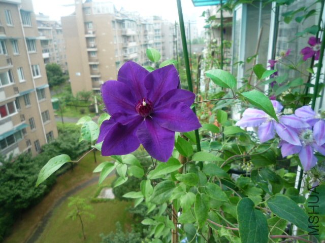 P1050500.JPG