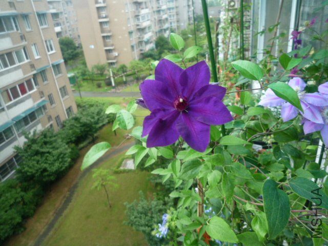 P1050502.JPG