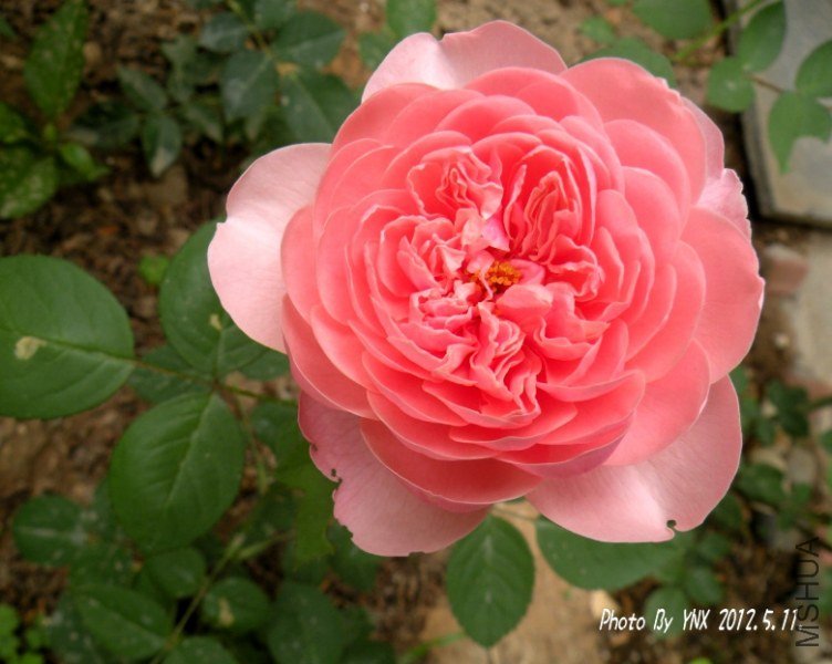 2012.5.11. 019_conew1.jpg