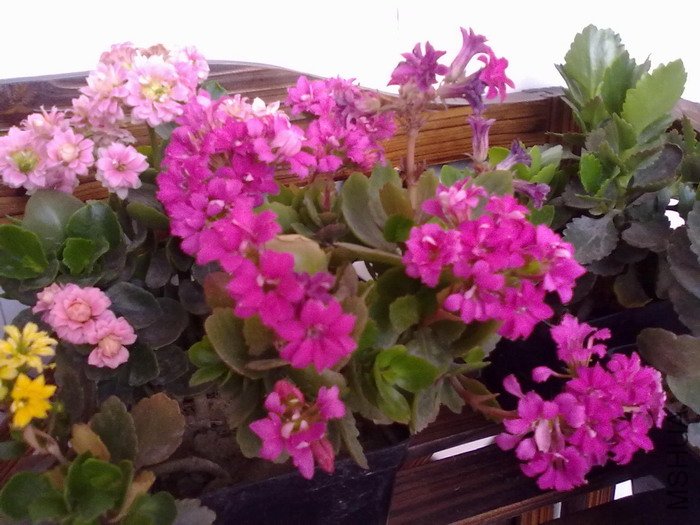 201205061335.jpg