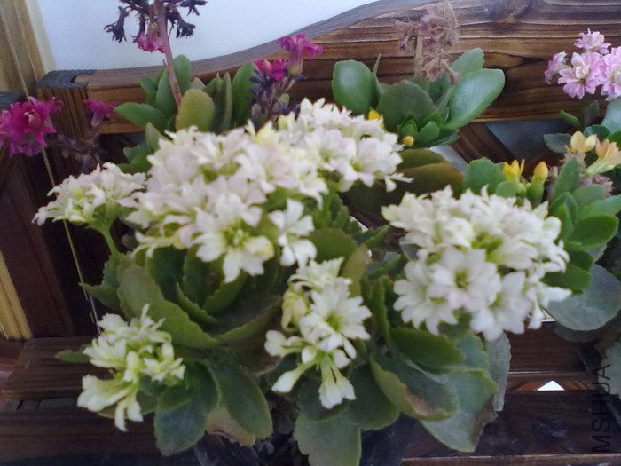 201205061344.jpg