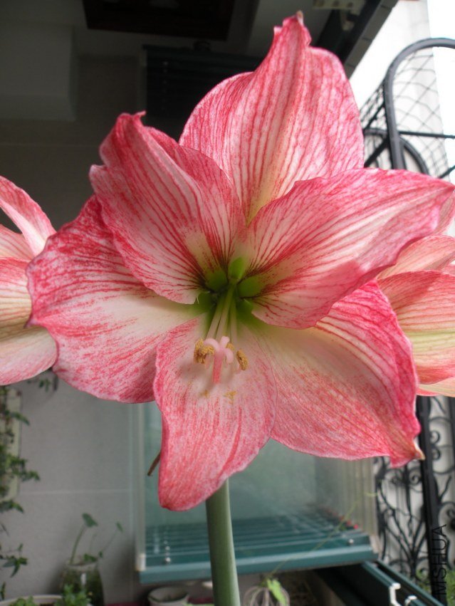 DSCN5616С.jpg