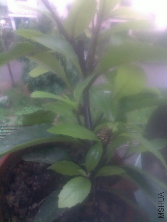 20120626267.jpg