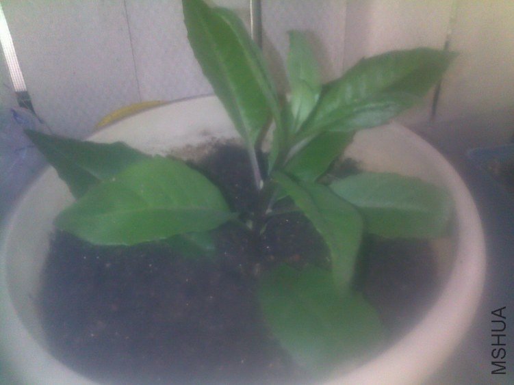 20120626268.jpg