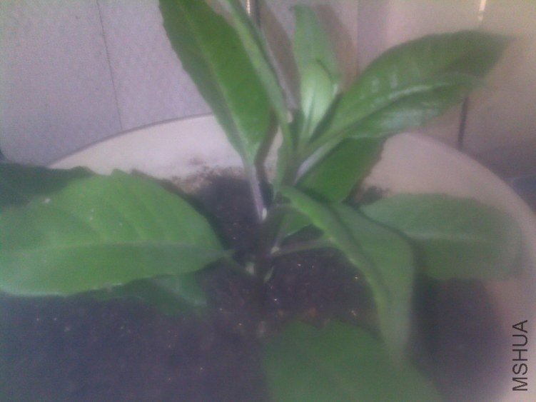 20120626269.jpg