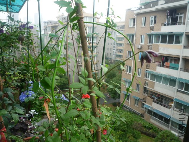 P1050599.JPG