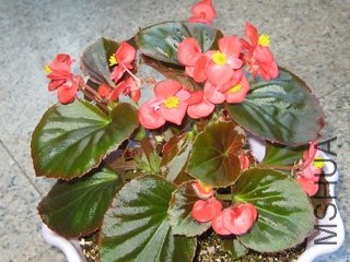 ��Ƭ 010.jpg
