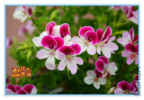 ��Ƭ 175_������2.jpg