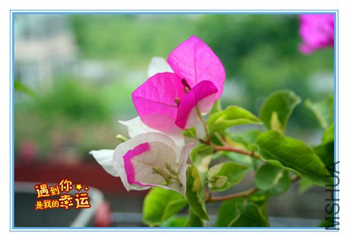 ��Ƭ 138_����.jpg