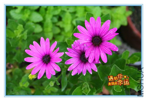 ��Ƭ 088_������.jpg