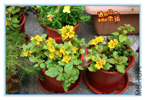 ��Ƭ 099_����.jpg