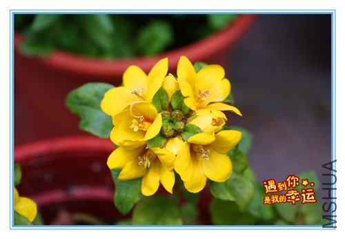 ��Ƭ 100_�����������ϵ�С���ӻ�.jpg