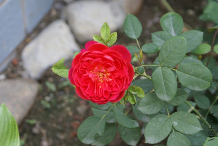 DSC05999_����.jpg