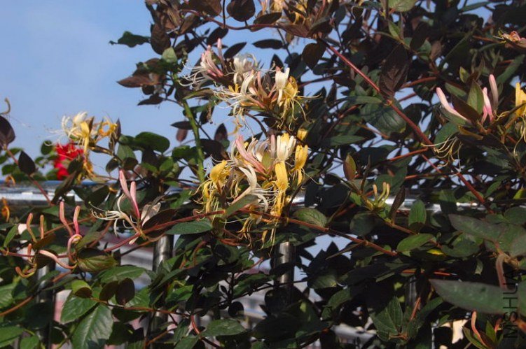 DSC_02200220.JPG